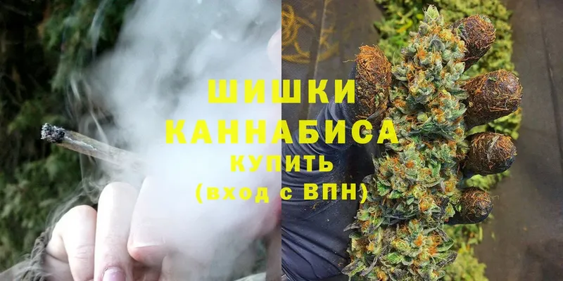 Конопля White Widow  как найти закладки  Соликамск 